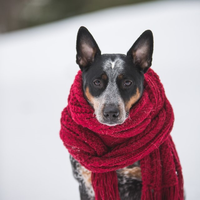 Aus einer depressiven Verstimmung kann auch eine behandlungsbedürftige Depression werden.